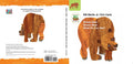 Brown Bear Tab BD