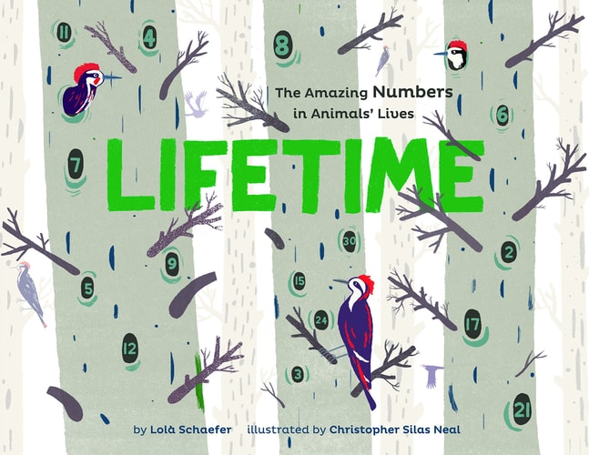 Lifetime