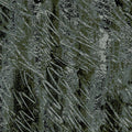 Fabric-Black Brushstroke-DISC