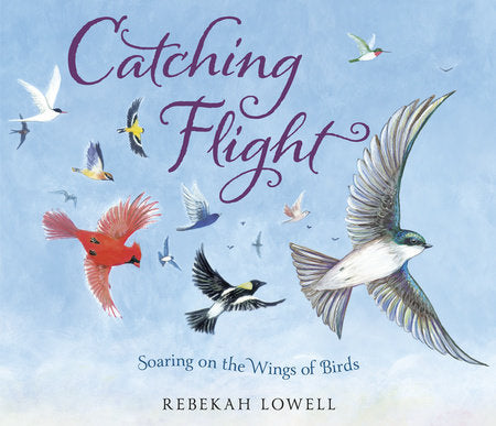 Catching Flight-RM