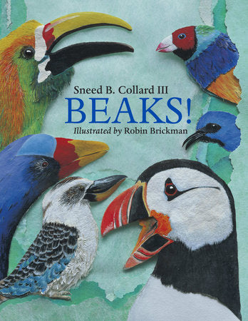 Beaks - PB