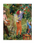 Autumn Apple Picking Print