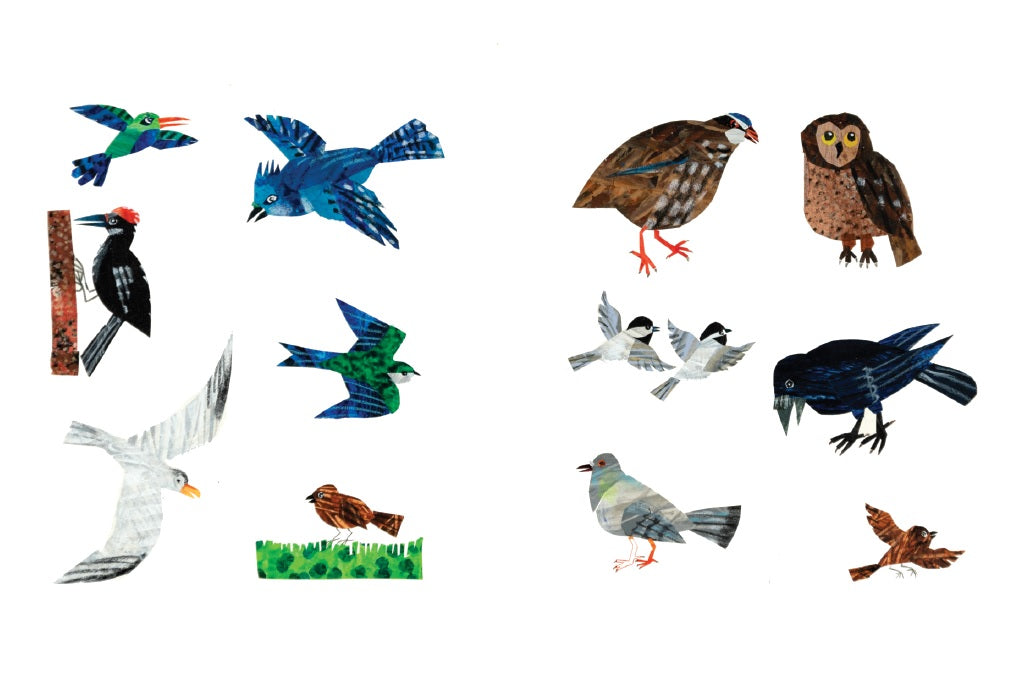 Postcard-Birds