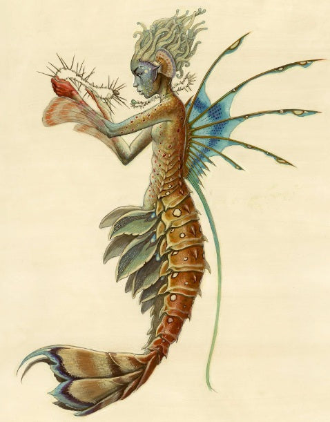 Print-DiTerlizzi Mermaid