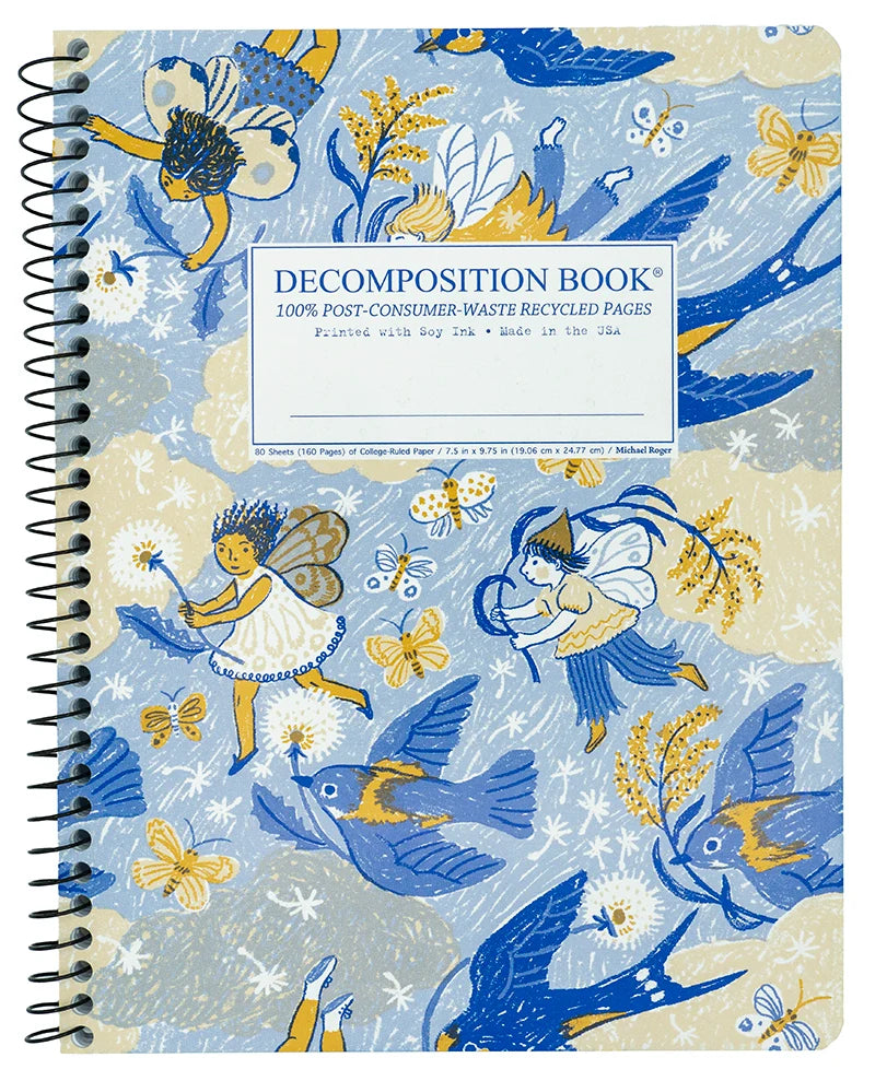 Gusty Breeze Decomposition Notebook
