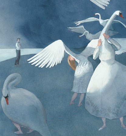 Postcard-Zwerger Swan Lake