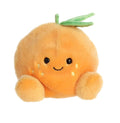 Orange Palm Pal