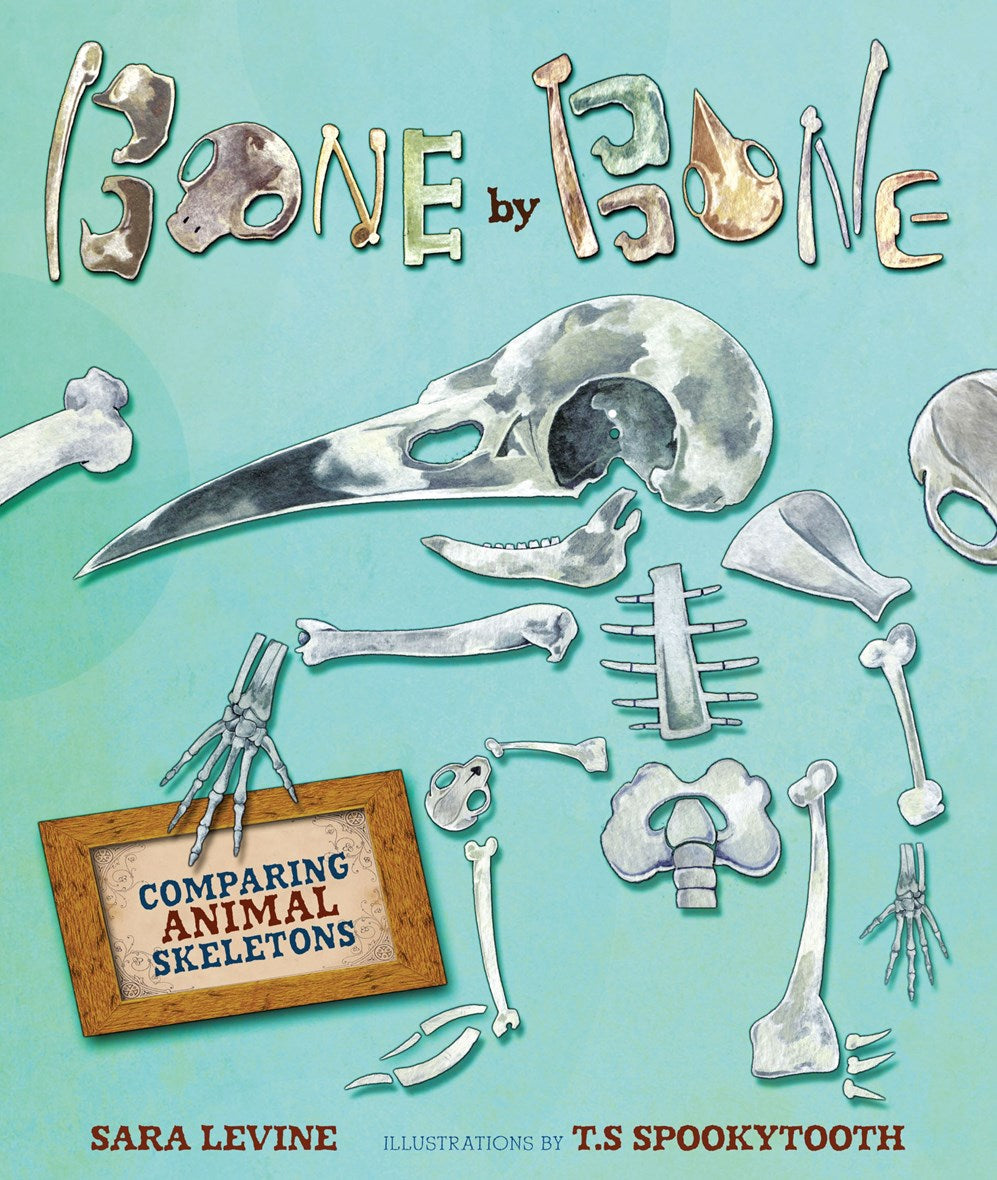 Bone by Bone: Comparing Animal Skeletons
